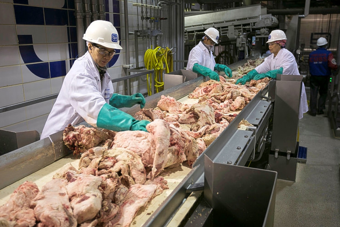 Trump orders meat-processing plants to stay open despite fears